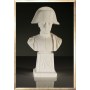 Napoleon Bust